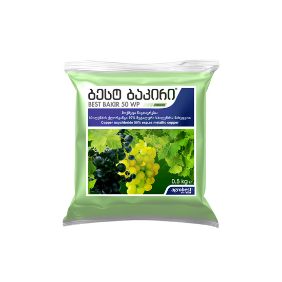 ბესტ ბაკირი სფ